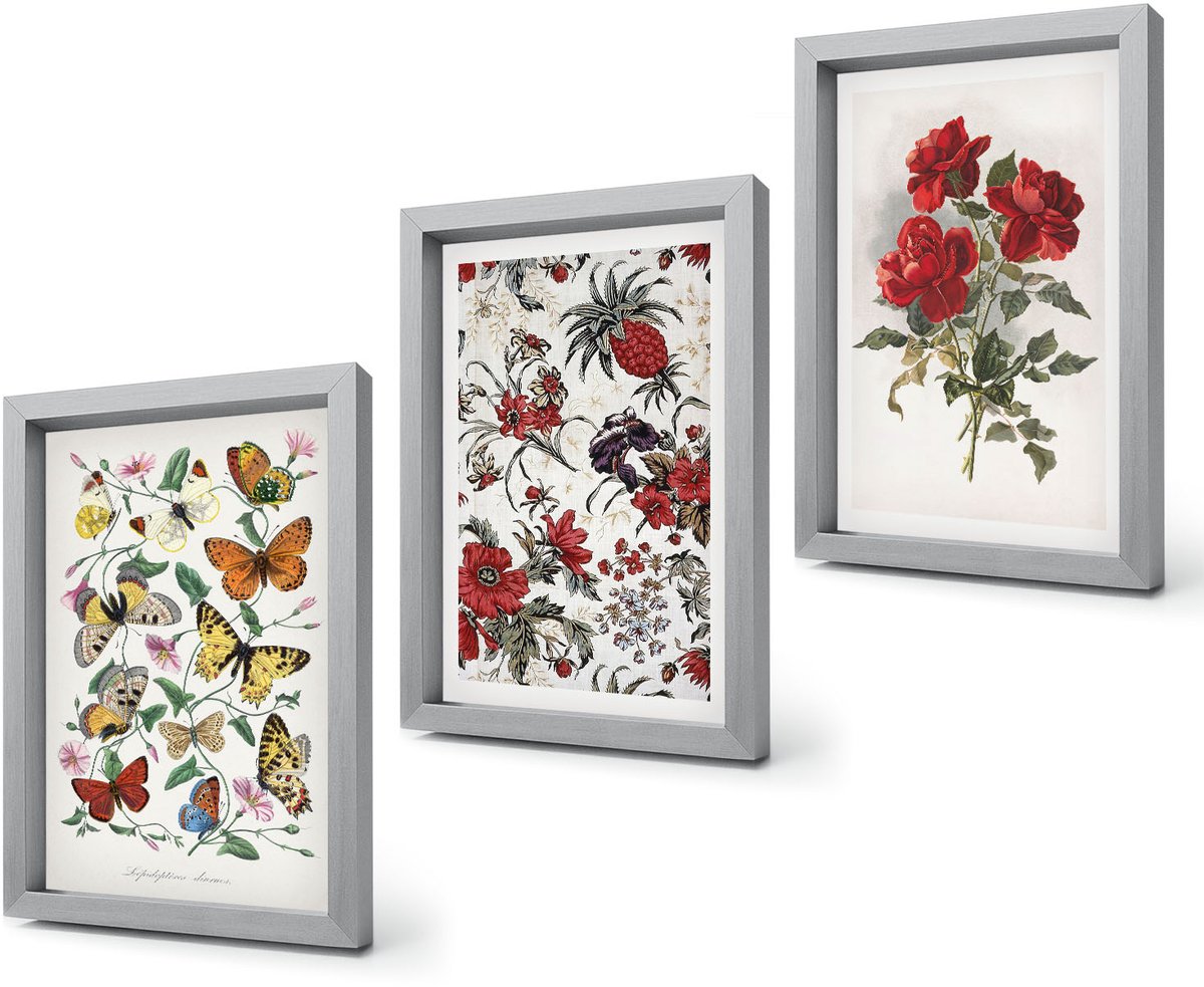 Coloray 4-Delige Schilderij Set - Vlinders, bloemen en rode rozen in een klassieke stijl. - 20 x 30 cm - Muurdecoratie - Wanddecoratie - Slaapkamer Zilveren lijst