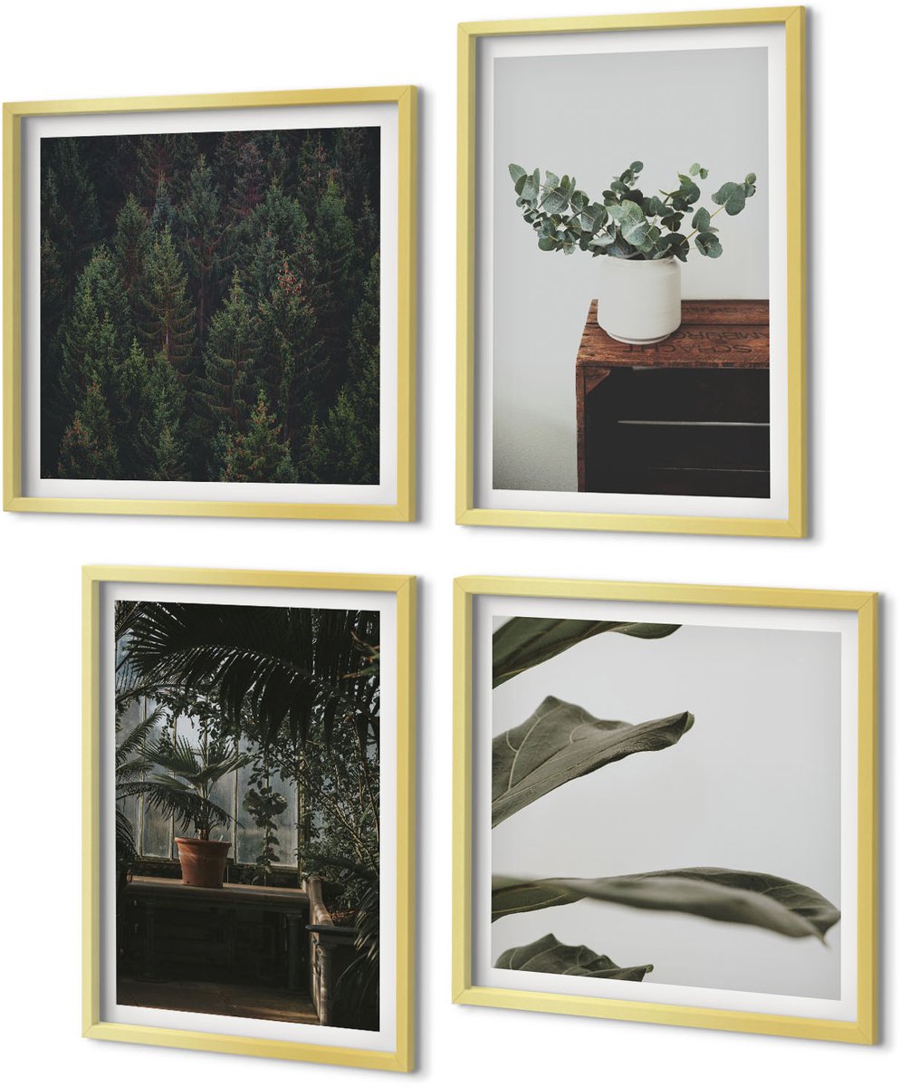 Coloray 4-Delige Schilderij Set - Rustieke bladeren potplanten - 40 x 40 cm en 40 x 60 cm - Schilderijen Set - Wanddecoratie - Woonkamer - Muurdecoratie