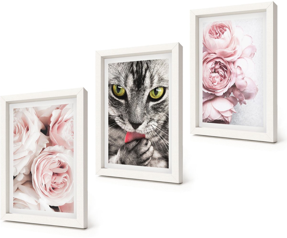 Coloray 3-Delige Schilderij Set - Kat tussen roze rozen en pioenrozen - 20x30 - Stijlvolle Muurdecoratie - Slaapkamer