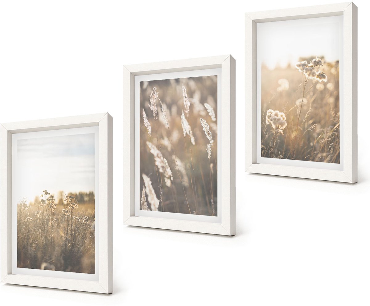 Coloray 3-Delige Schilderij Set - Landschap met grassen en bloemen in warme tinten. - 20x30 - Decoratieve Schilderijen - Woonkamer - Interieur - Wanddecoratie