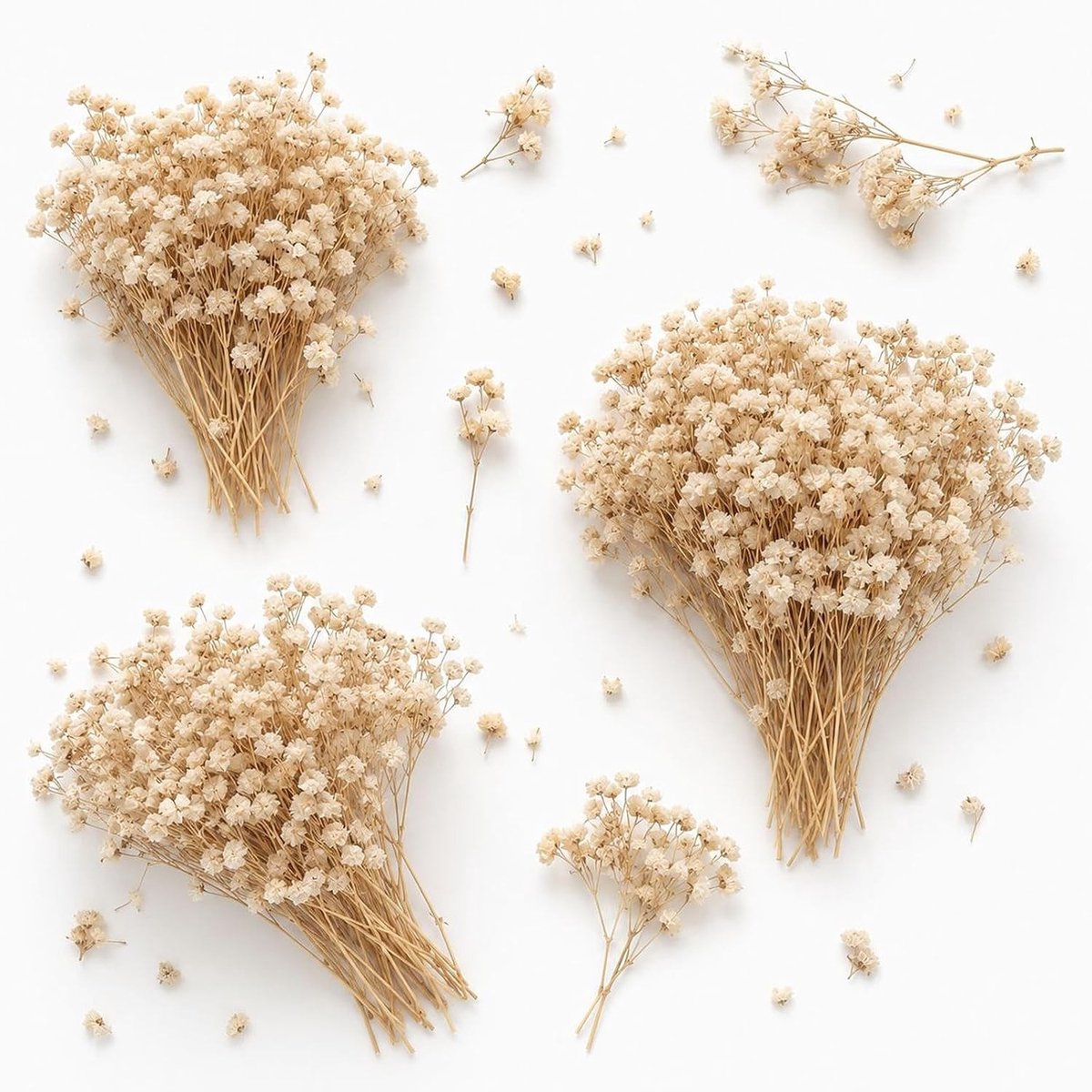 120 Stuks Gedroogde Gypsophila Bloemen voor Decoratie, Bruiloften en DIY Projecten