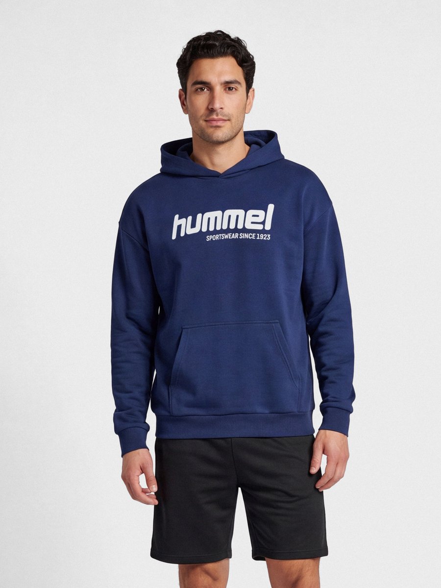 Hmlsw Graphic Hoodie