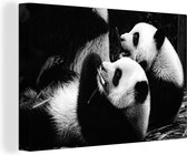 Canvas Schilderij Panda's - Zwart - Wit - 60x40 cm - Wanddecoratie