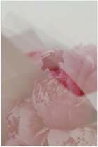 Poster – Roze Rozen - 60x90cm Foto op Posterpapier