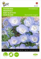Buzzy zaden - Haagbloem Hemelsblauw (Nemophila menziesii)