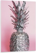 Forex - Zilveren Ananas  met Roze Achtergrond - 80x120cm Foto op Forex