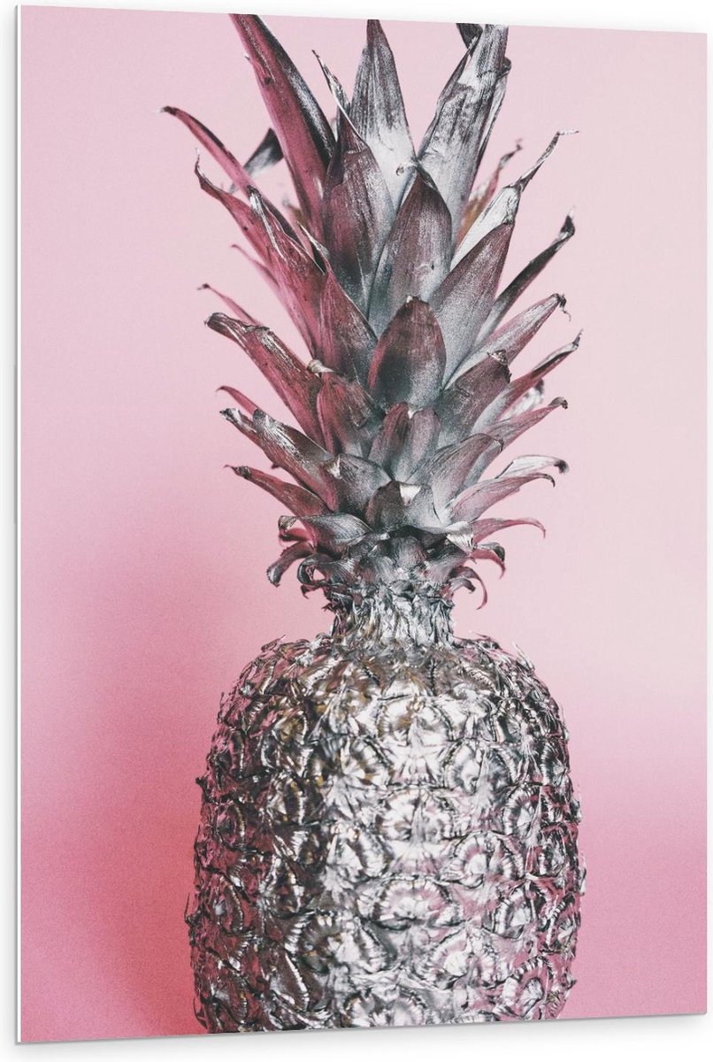 Forex - Zilveren Ananas met Roze Achtergrond - 80x120cm Foto op Forex