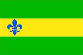 Vlag gemeente Menterwolde 200x300 cm