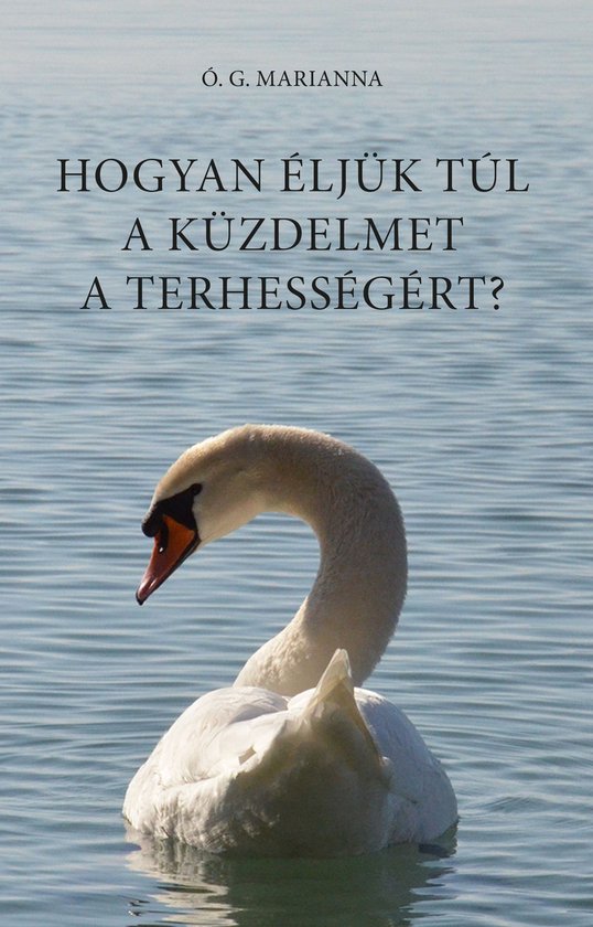Hogyan éljük túl a küzdelmet a terhességért? - cover