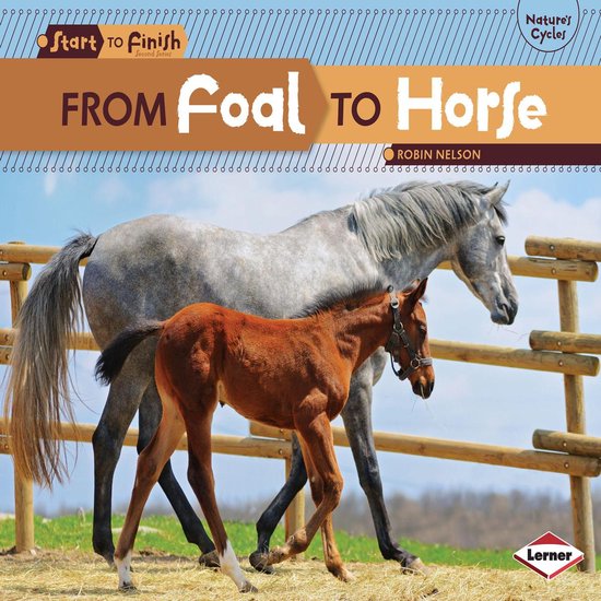 From Foal to Horse - cover