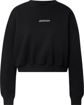 Dickies sweatshirt ferriday Wit-L