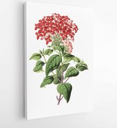 Onlinecanvas - Schilderij - Color Illustration Flowers In Watercolor Paintings Art -vertical Vertical - Multicolor - 80 X 60 Cm