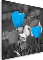 Schilderij Blauwe tulpen in grijs veld, 80x80cm, blauw-grijs