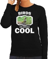 Dieren vogels sweater zwart dames - birds are serious cool trui - cadeau sweater groene specht/ vogels liefhebber L