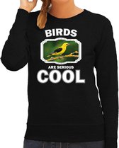 Dieren vogels sweater zwart dames - birds are serious cool trui - cadeau sweater wielewaal vogel/ vogels liefhebber M