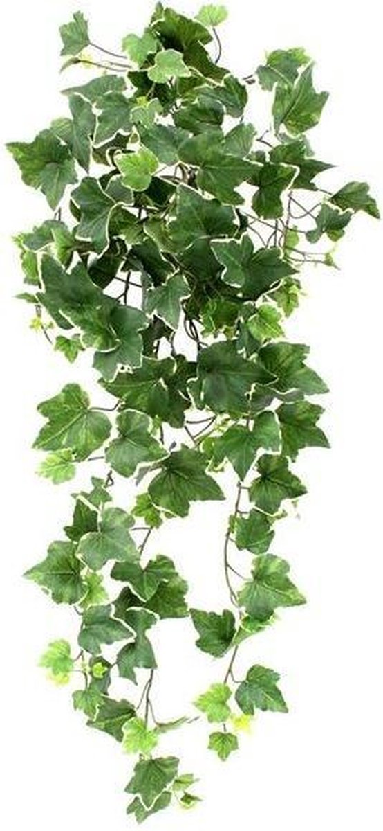 maxifleur Kunstplanten Hedera deluxe kunst hangplant 75cm - bont