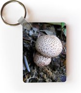 Sleutelhanger - Stuifzwam met bruine stippen - Plastic | bol.com