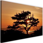 Schilderij Zonsondergang door de boom, 2 maten, multi-gekleurd, Premium print