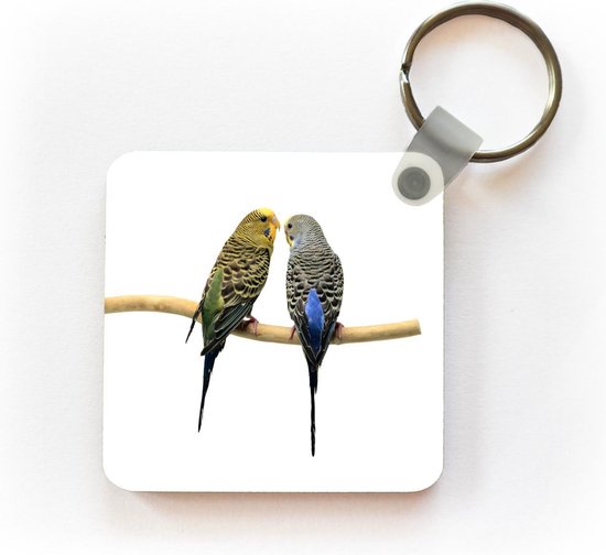 Porte-clés Perruches sur fond blanc - Deux perruches de l'arrière sur fond blanc Porte-clés en plastique - Porte-clés carré avec photo