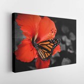 Onlinecanvas - Schilderij - Monarch On A Flower Art Horizontal Horizontal - Multicolor - 40 X 50 Cm
