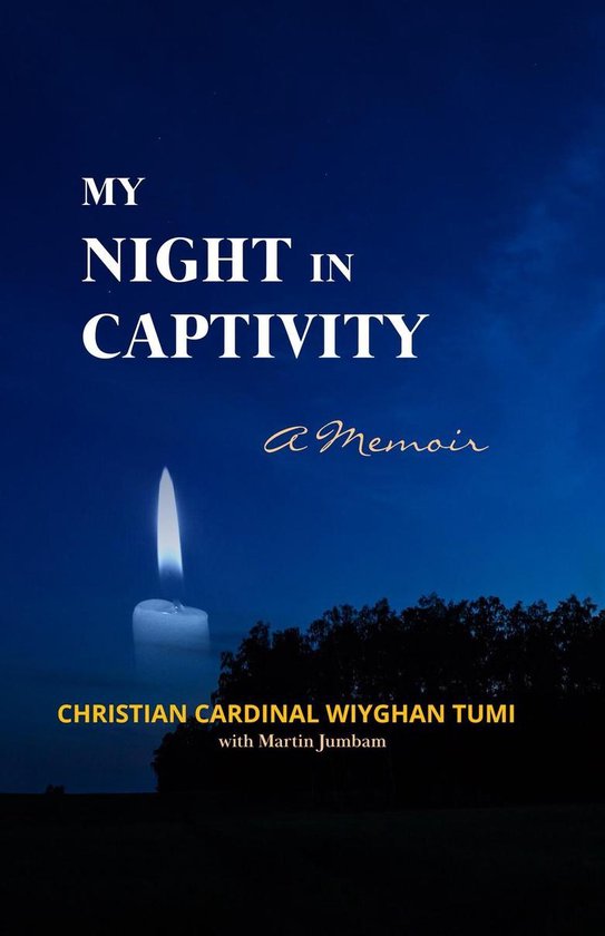 My Night in Captivity - cover