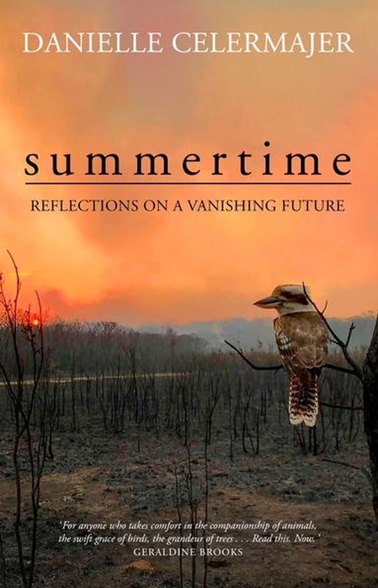 Summertime - cover