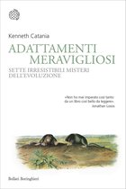 Adattamenti meravigliosi