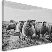 Schapen natuurprint op Canvas | fotoprint op canvas | wanddecoratie - 60x90cm