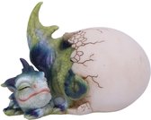 Nemesis Now Beeld/figuur Hatchling's Rest Draakje Multicolours