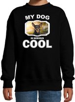 Dwergpinscher honden trui / sweater my dog is serious cool zwart - kinderen - Dwergpinschers liefhebber cadeau sweaters 14-15 jaar (170/176)