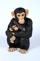 Chimpansee jong