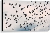 Canvas - Zwerm Vogels in Bewolkte Lucht - 90x60 cm Foto op Canvas Schilderij (Wanddecoratie op Canvas)