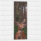 WallClassics - Muursticker - Opzijkijkend Hert in Groen Bos - 20x60 cm Foto op Muursticker