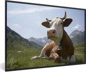 Photo encadrée - Cadre photo vache couchée dans un champ d'herbe noir sans passe partout 30x20 cm - Affiche encadrée (Décoration murale salon / chambre)