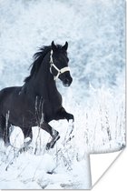 Poster Paard - Sneeuw - Winter - 20x30 cm