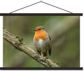 Posterhanger incl. Poster 60x40 cm - Schoolplaat - Vogel - Roodborstje - Tak - Planten - Textielposter - Zwarte latten