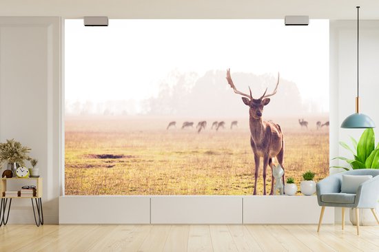 Papier peint - Papier peint Papier peint photo Cerf - Bois - Herbe - Largeur 420 cm x hauteur 280 cm