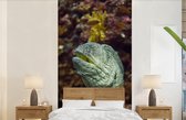 Behang - Fotobehang Vis - Koraal - Oceaan - Breedte 120 cm x hoogte 240 cm