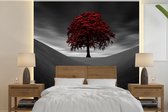 Behang - Fotobehang Zwart-wit foto met een rode boom - Breedte 280 cm x hoogte 280 cm