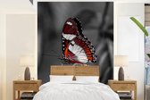Behang - Fotobehang Vlinder - Dieren - Bloemen - Zwart wit - Oranje - Breedte 165 cm x hoogte 220 cm
