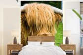 Behang - Fotobehang Schotse hooglander - Gras - Vacht - Dieren - Koe - Breedte 165 cm x hoogte 220 cm