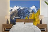 Behang - Fotobehang Bomen voor de Großglockner berg in Oostenrijk - Breedte 260 cm x hoogte 260 cm