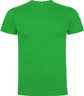 Lot de 2 t-shirts tropicaux Roly Dogo taille 10 134 -140