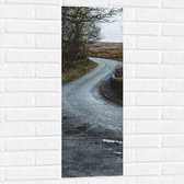 WallClassics - Muursticker - Weg in het Bos - 30x90 cm Foto op Muursticker