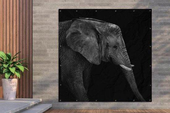 Poster de Jardin Éléphant - Zwart et blanc - Portrait - Animaux - 200x200 cm - Toile de jardin - Poster extérieur