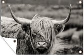 Affiche de jardin Highlander écossais - Vache - Animaux - Zwart et blanc - Rural - 130x80 cm - Décoration murale extérieure - Affiche de jardin - Toile de jardin - Affiche de clôture - Peinture de jardin