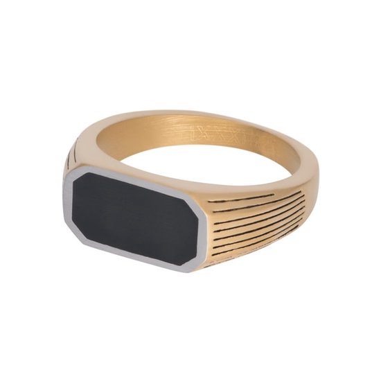 iXXXi-Men-BMW-Goud Mat-Heren-Ring (sieraad)-23mm