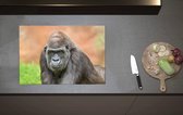 Inductieplaat Beschermer - Westelijke Laagland Gorilla van Dichtbij - 70x52 cm - 2 mm Dik - Inductie Beschermer van Vinyl