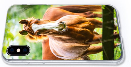 Coque iPhone Xs - Paarden - Légère - Prairie - Coque de téléphone en Siliconen