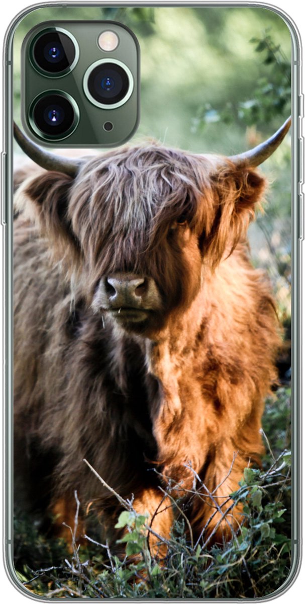 Telefoonhoesje Geschikt voor iPhone 11 Pro hoesje - Schotse Hooglanders - Bos - Dieren - Siliconen Telefoonhoesje Telefoonhoesje